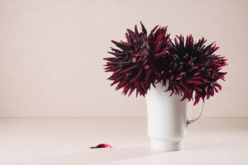Black dahlia flowers in a vase.
