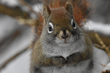 La Plaine 14 Janvier 2024 (29) - Photoshop