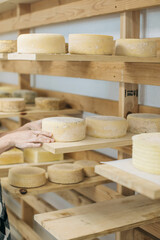 homemade cheese on a shelf