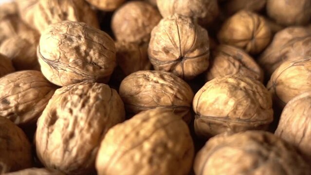 Walnuts. Camera slowly moves up to show close-up of beautiful walnuts