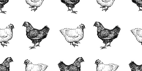 Seamless vector pattern of sketches black and white hens, background for paper,wallpaper - 712722591