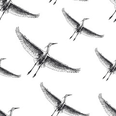 Seamless  pattern of sketches wild crane in sky in flight with wings wide open,vector hand drawing isolated on white