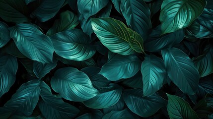 closeup nature view of green leaf in garden, dark tone nature background, tropical leaf - obrazy, fototapety, plakaty