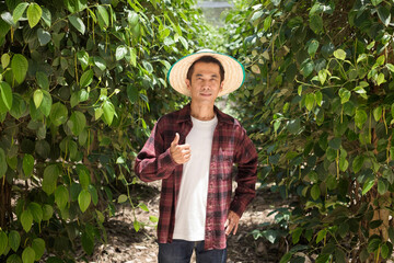 A Thai farmer man wearing a red shirt posing thumb up at a farm.