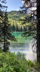 Views from the trail of Swiftcurrent Lake in Many Glacier Region of Glacier National Park