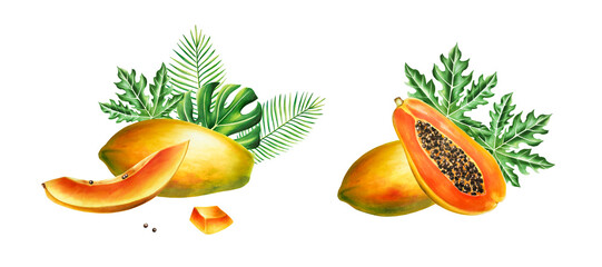 Marker sweet ripe composition with slice, half papaya and tropical leafs in watercolor style. Hand drawn realistic tasty marker illustration of exotic tropical fruit isolated on background. For