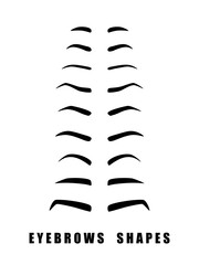 Eyebrows shapes. Shapes of human eyebrows isolated on white background. Vector illustration