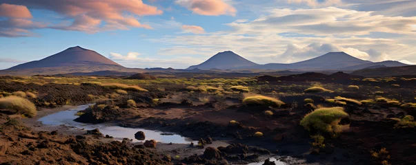 Fotobehang Volcanic landscape of Canaries island - Spain © Chris