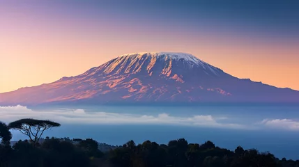 Foto auf Acrylglas Kilimandscharo Mount Kilimanjaro in Tanzania.