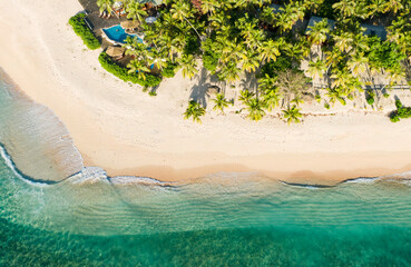tropical island with palm trees in Fiji