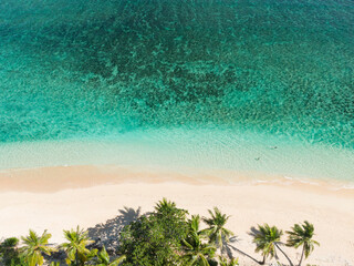 Fototapeta na wymiar Island beach and ocean with palm trees in Fiji 