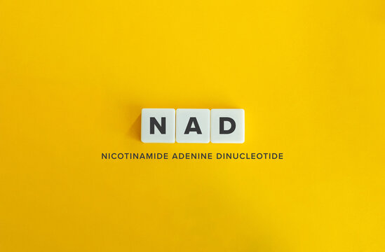 Nicotinamide adenine dinucleotide (NAD). Pharmacology Treatment, Chemistry, Ageing, Cellular energetics, Nicotinamide Oxidative Stress.