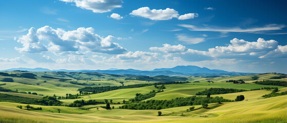 Obraz premium field of grass and perfect sky