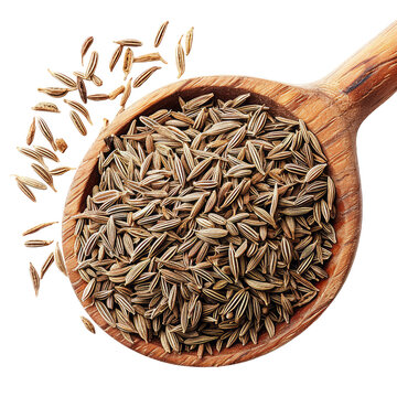 Wooden Spoon Full of Cumin Seeds PNG Transparent Background