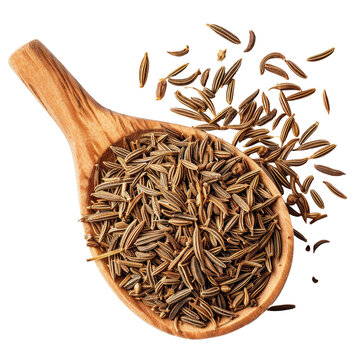 Wooden Spoon Full of Cumin Seeds PNG Transparent Background