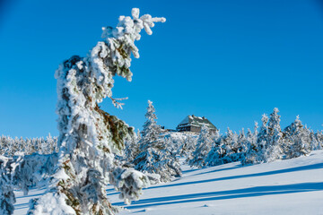 View of the peak of Szrenica in the Karkonosze Mountains with the shelter building on a sunny,...