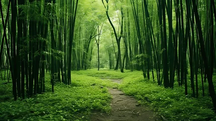 Deurstickers Tranquil sections of lush bamboo forest habitat in the woodland environment © Eva