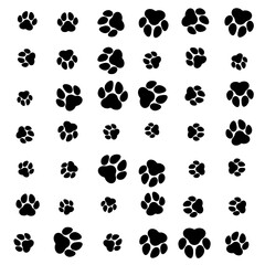 Fototapeta premium ramdon paw pattern sizes on white background