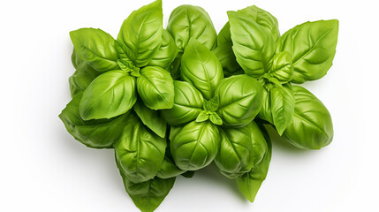 basil leaves isolated on white background , generate AI