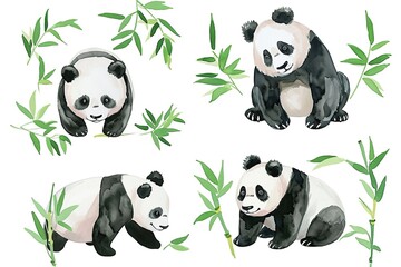 Set of panda in different poses, watercolor, green bamboo leaves, white background
