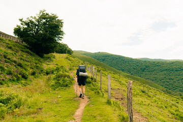 Obraz premium Hiker on countryside landscape in the Pyrenees, Pyrenees in France. hrp trail, gr10