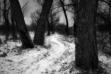 
winter landscape by the river
