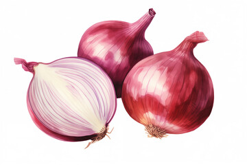 Watercolor fresh red onion. Illustrated organic vegetables. Element for cooking, receipt, packaging design, books.