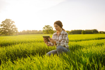 Naklejka na ściany i meble Farmer with a tablet in her hands. Technologies in farming. Green wheat field. Smart farm