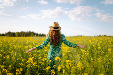 Beautiful woman walking flowering field gently touch yellow flowers. Nature, fashion,  summer lifestyle.  - obrazy, fototapety, plakaty