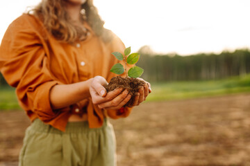 Farmer's hand holding a green young plant and earthy handful. Concepts of ecology and gardening.