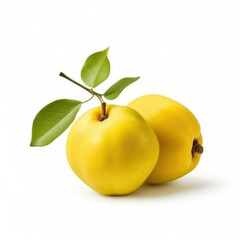 Quince isolated on white background