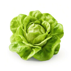Butter lettuce isolated on white background