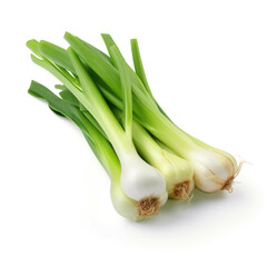 Leeks isolated on white background