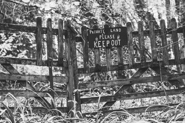 fence with trees