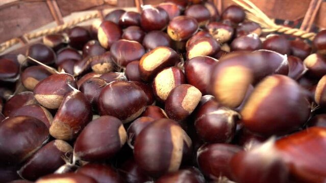 Autumn composition of chestnuts, hedgehogs and chestnut leaves. Fall season. Warm colors. Food background