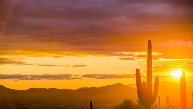 Sky-on-fire stunning Arizona sunset.  Saguaro cactus standing tall with mountains in the background
