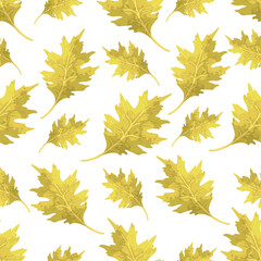 Seamless pattern with autumn colorful oak leaves.Vector graphics.