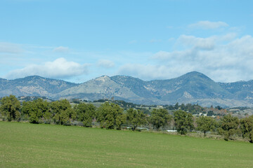 Los Olivos California Mountain Landscpae