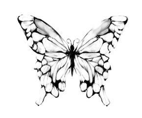 墨で描いた蝶々の和風イラスト