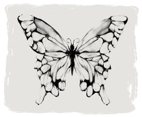 墨で描いた蝶々の和風イラスト