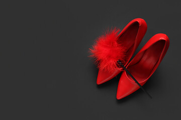 Red high-heeled shoes and feather stick from sex shop on dark background. Valentine's Day...