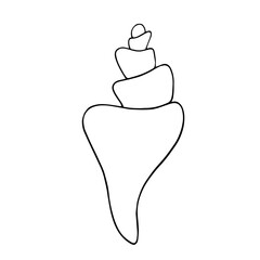 Linear sketch, outline of a sea shell. Decorative element for sea summer designs. Vector graphics.