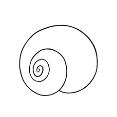 Linear sketch, outline of a sea shell. Decorative element for sea summer designs. Vector graphics.