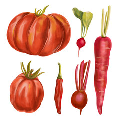 set of red vegetables, healthy food, vitamins diet, hand painted illustration of tomatoes, reddish, carrot, chilli pepper, beet