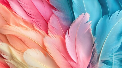 Abstract pastel color feather background. Many multicolored feathers in pastel light colors palette.
