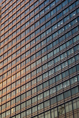 Obraz premium 都心建築探訪 東京駅丸の内