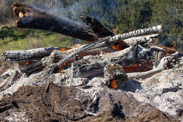 Control Burn Pile Initial Light