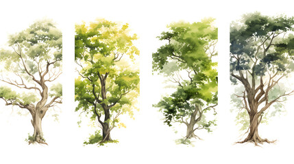 Four vertical of illustration watercolor style image frame sequence that show tree. Four different trees. - obrazy, fototapety, plakaty