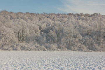 Fairy snowy forest in fog in beautiful winter at sunrise.