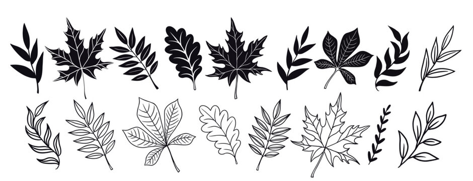 Set of autumn leaves. Set of autumn leaf silhouettes. Autumn leaf icons set.